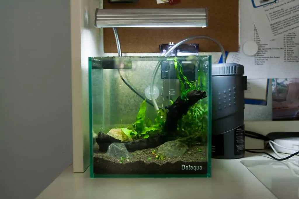 aquarium biologische filtratie
