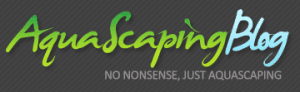 Aquascaping blog