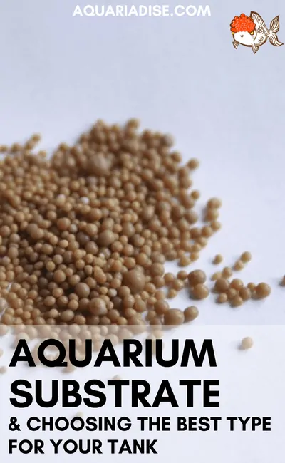 How to choose the best substrate type for your aquarium