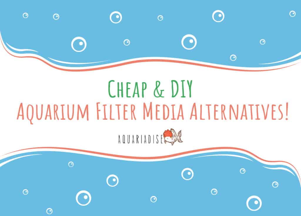 Cheap & DIY Aquarium Filter Media Alternatives!
