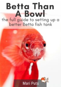 Betta Than A Bowl