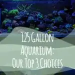 125 Gallon Aquarium
