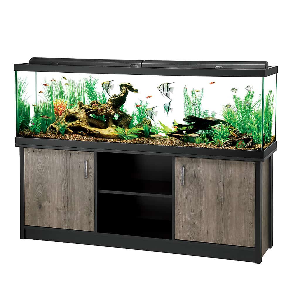 125 Gallon Aquarium Our Top 3 Choices For The Money