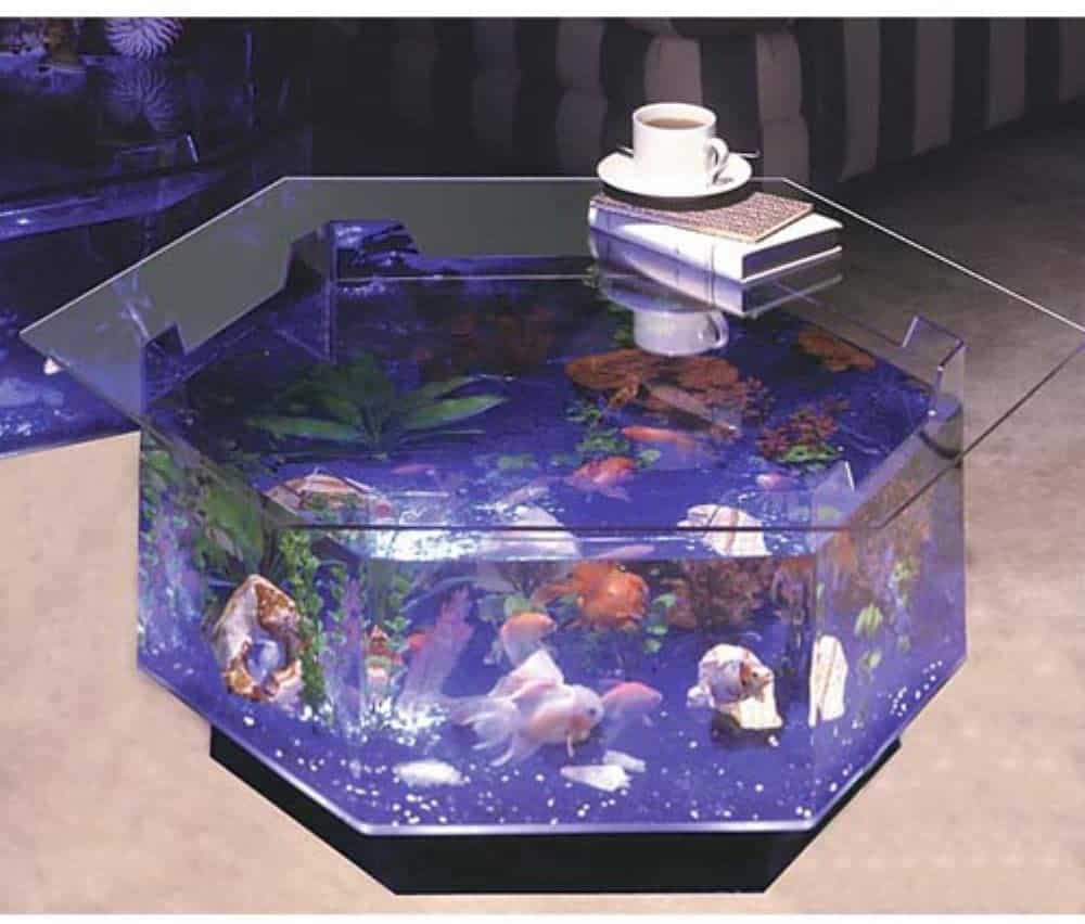 40-Gallon Tank: Perfect Choice For Medium-Sized Fish - Aquariadise