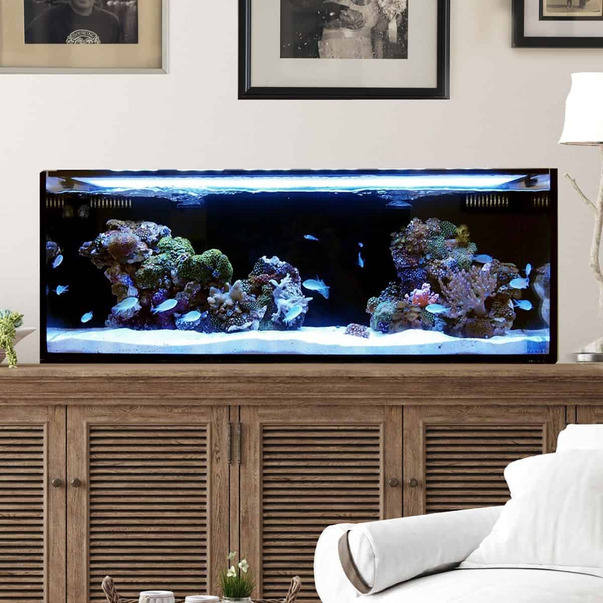 L'aquarium long de 55 gallons - Fusion Pro 30 AIO Aquarium