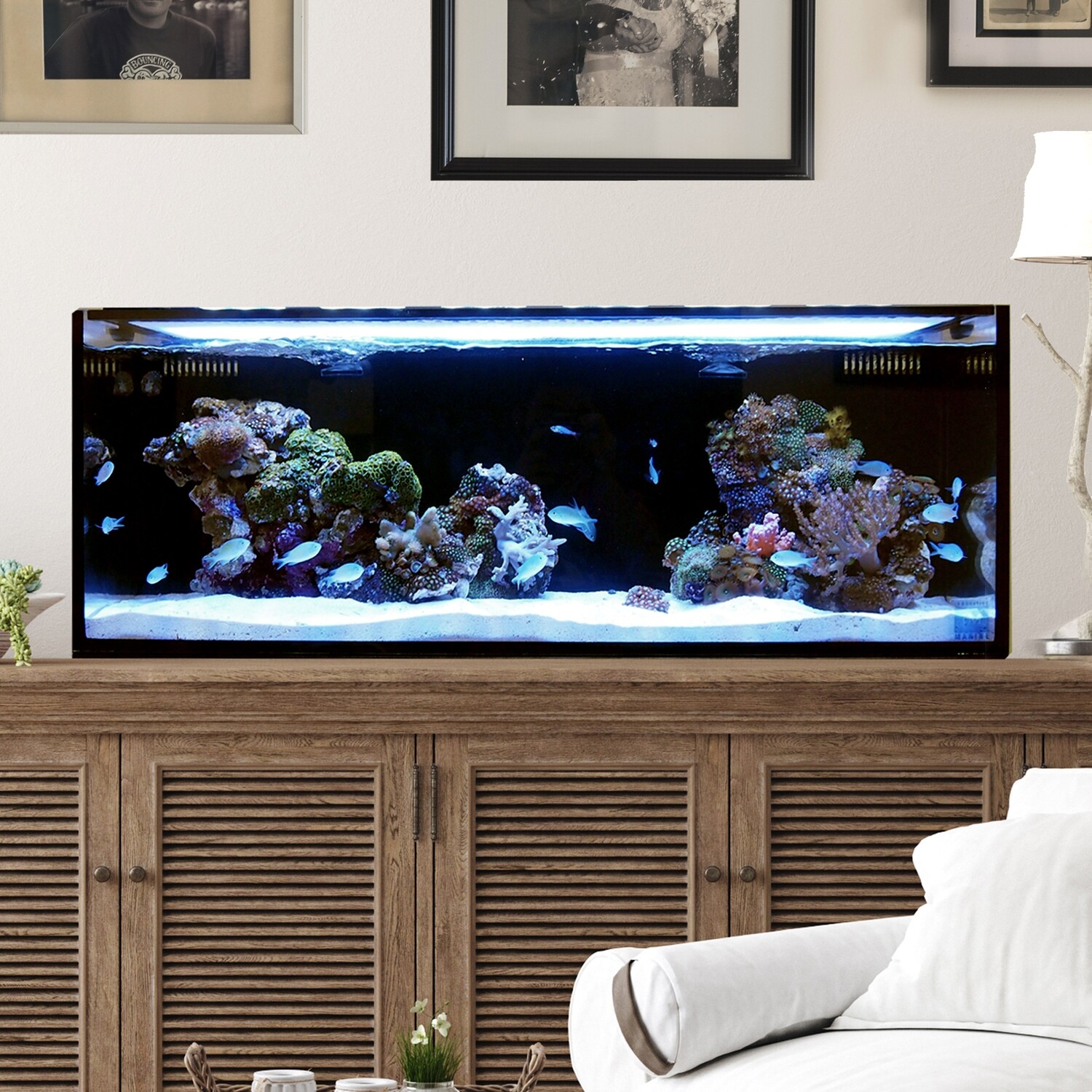 What is the Size of a 30 Gallon Aquarium? 