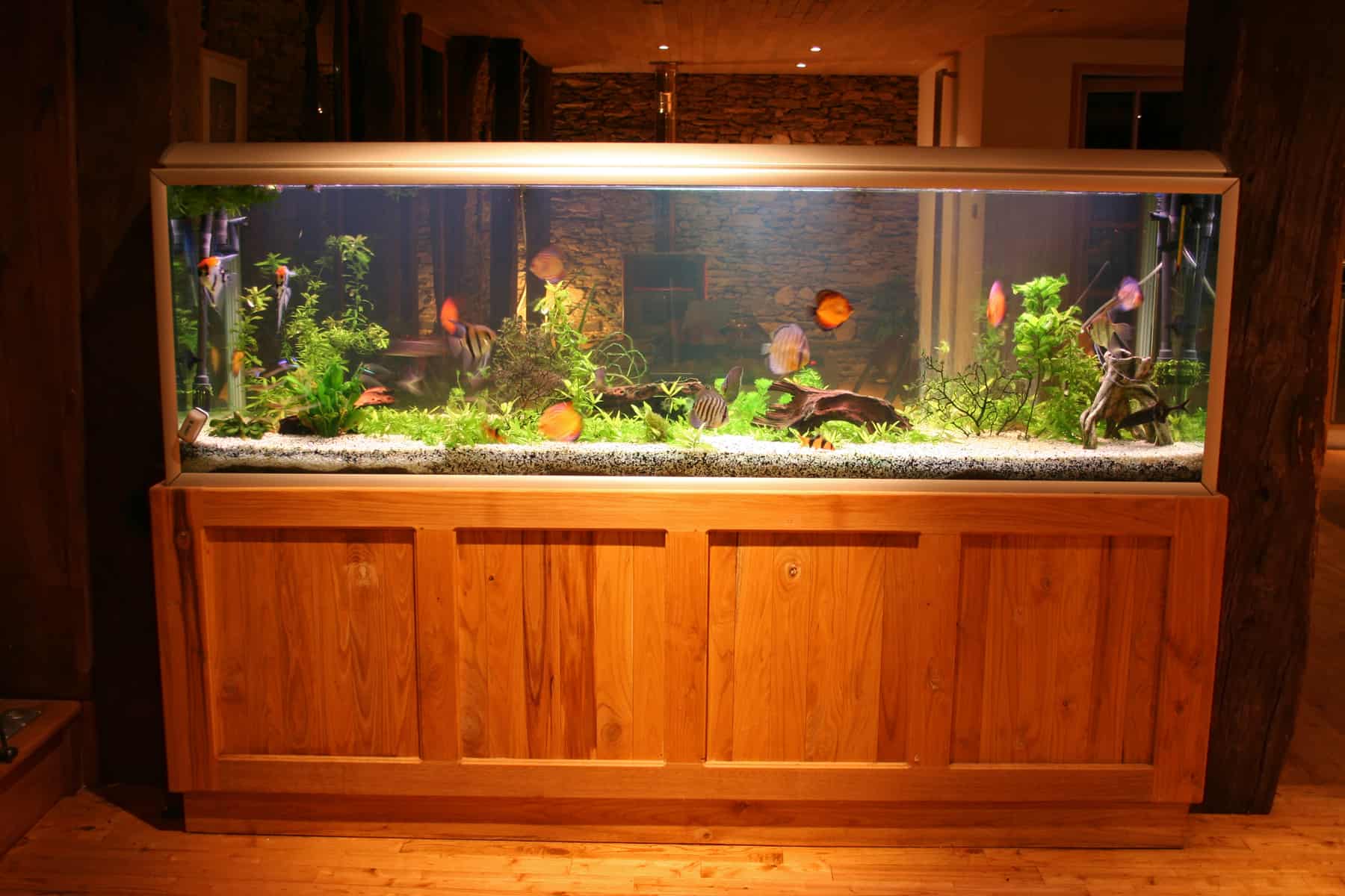 55-Gallon Fish Tank: Our Top Five Choices - Front View Of 55 Gallon Fish Tank During At Night