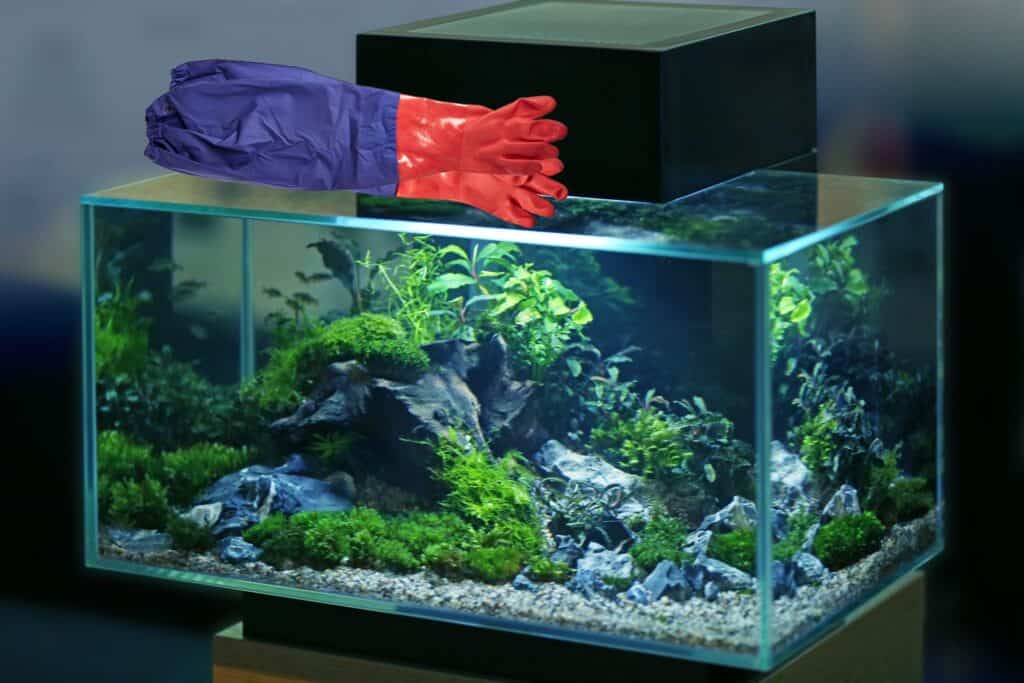 aquarium gloves on top of aquarium tank