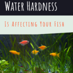 Aquarium Water Hardness