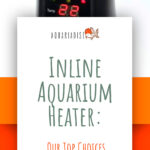 1 Inline Aquarium Heater Our Top Choices