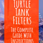 10 Turtle Tank Filters