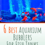2 6 Best Aquarium Bubblers For Fish Tanks