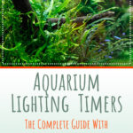 2 Aquarium Lighting Timers