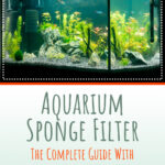 2 Aquarium Sponge Filter Our Top 6 Choices