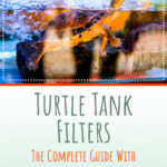 2 Turtle Tank Filters
