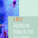 3 6 Best Aquarium Bubblers For Fish Tanks