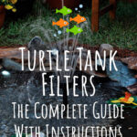 3 Turtle Tank Filters