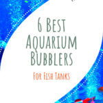 4 6 Best Aquarium Bubblers For Fish Tanks