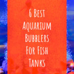 6 6 Best Aquarium Bubblers For Fish Tanks
