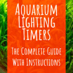 6 Aquarium Lighting Timers