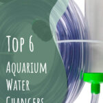 9 Top 6 Aquarium Water Changers