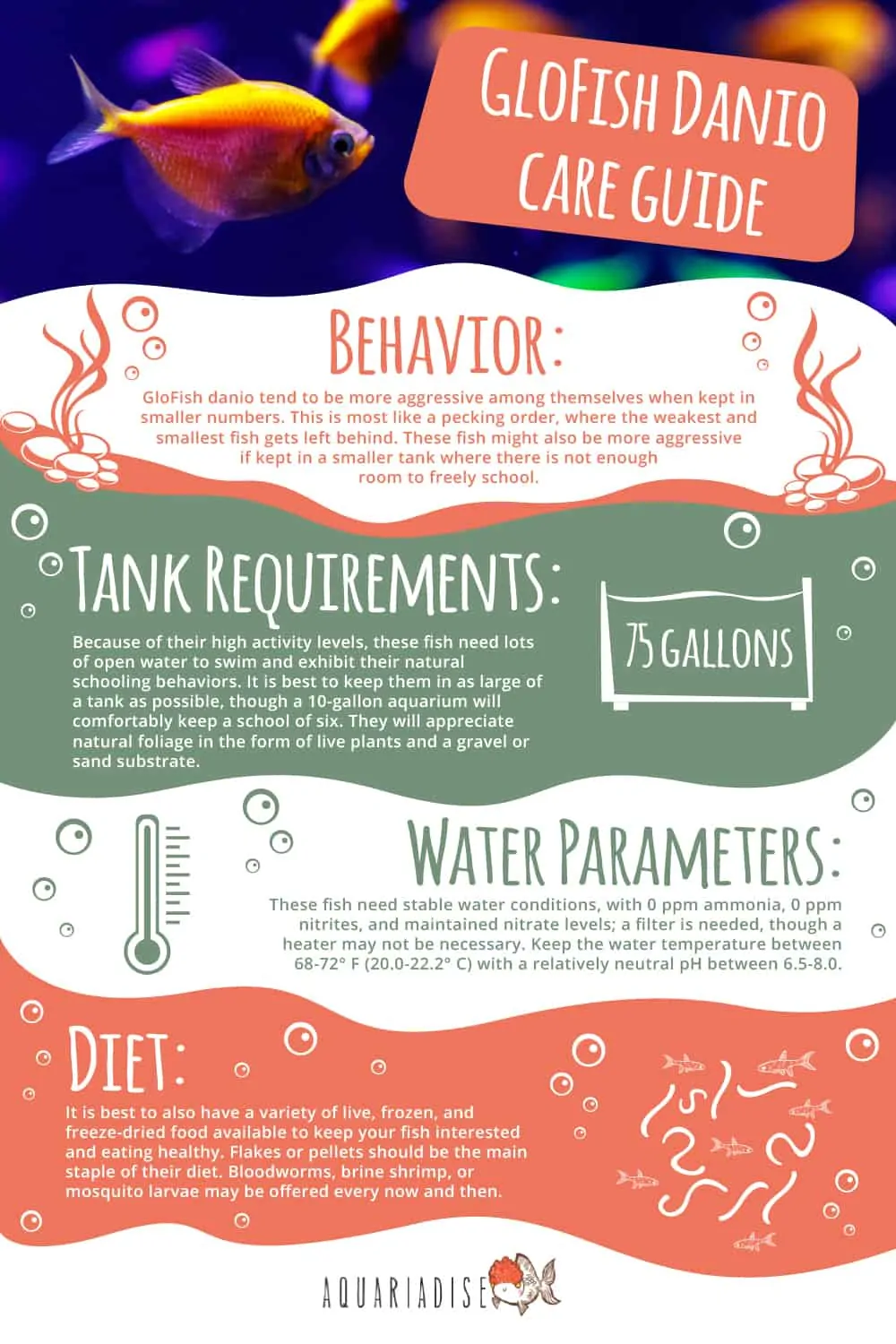 GloFish Danio Care Guide Infographic