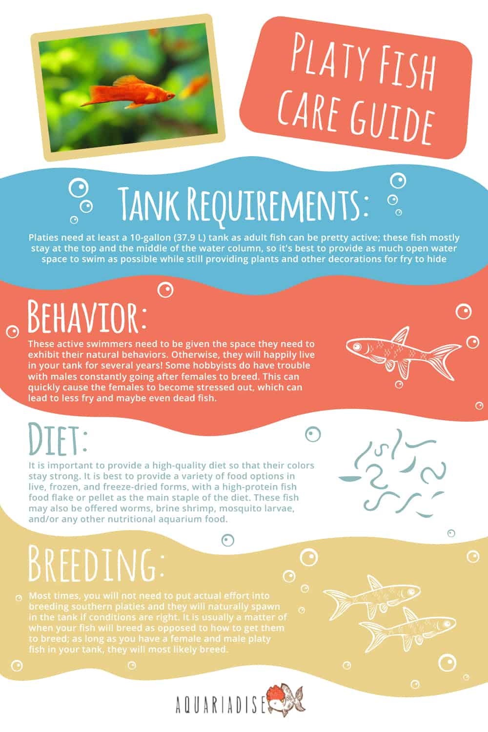 Platy Fish Care Guide Infographic