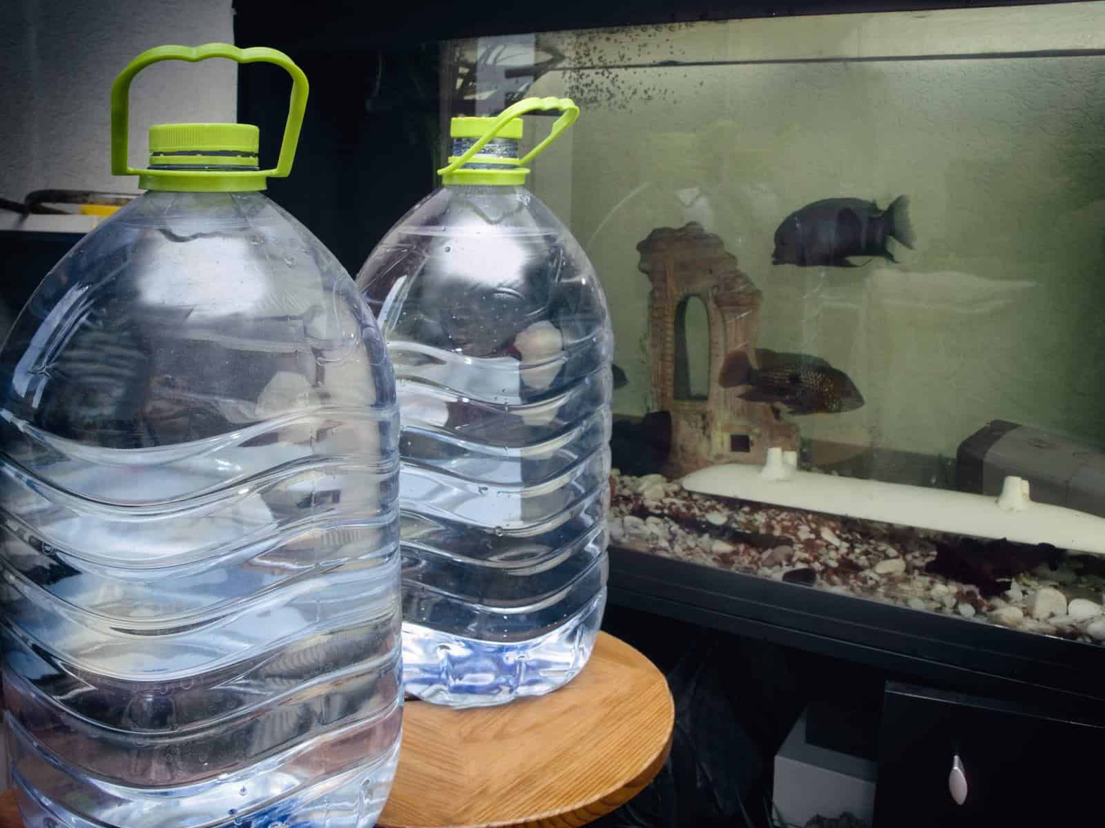 Distilled Water For Aquariums: Is It Good For Your Fish Tank?