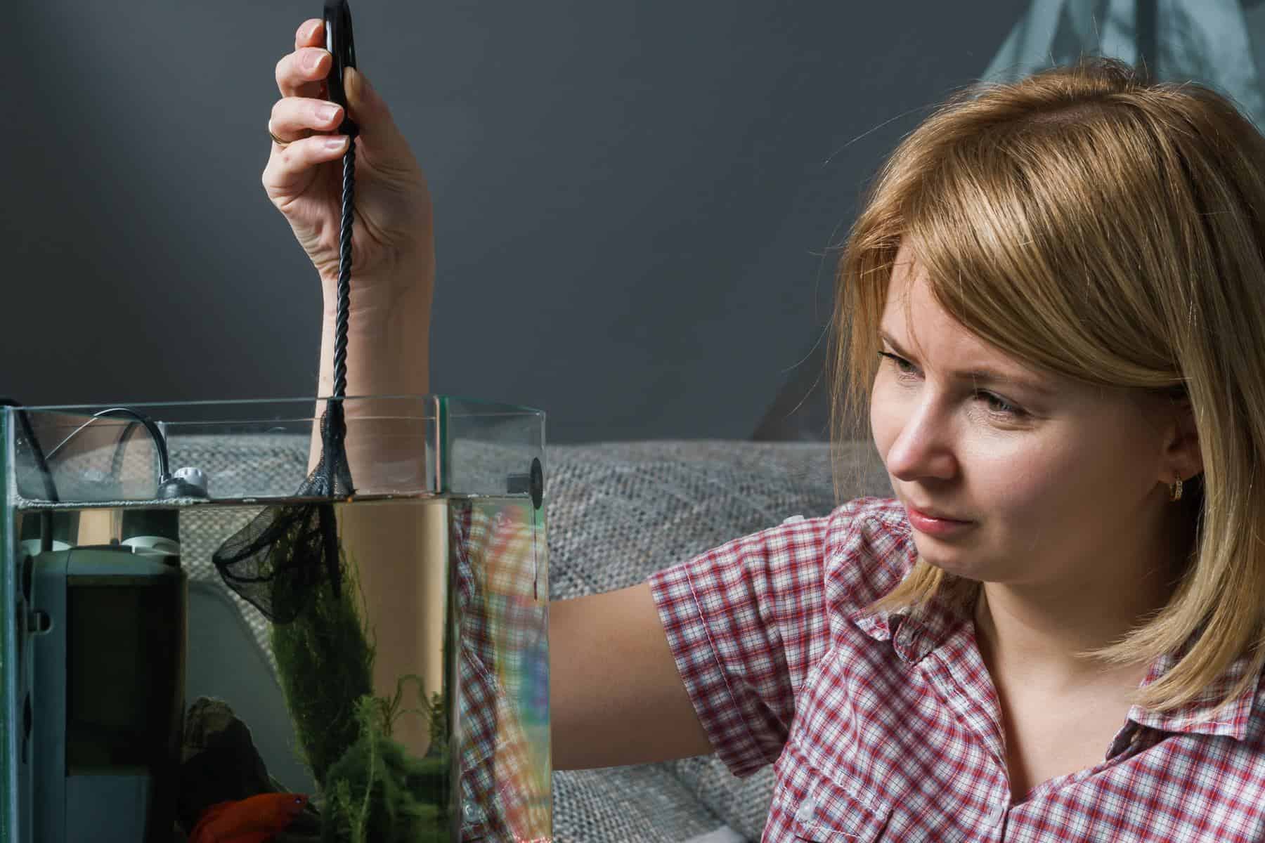 woman cleaning fish tank