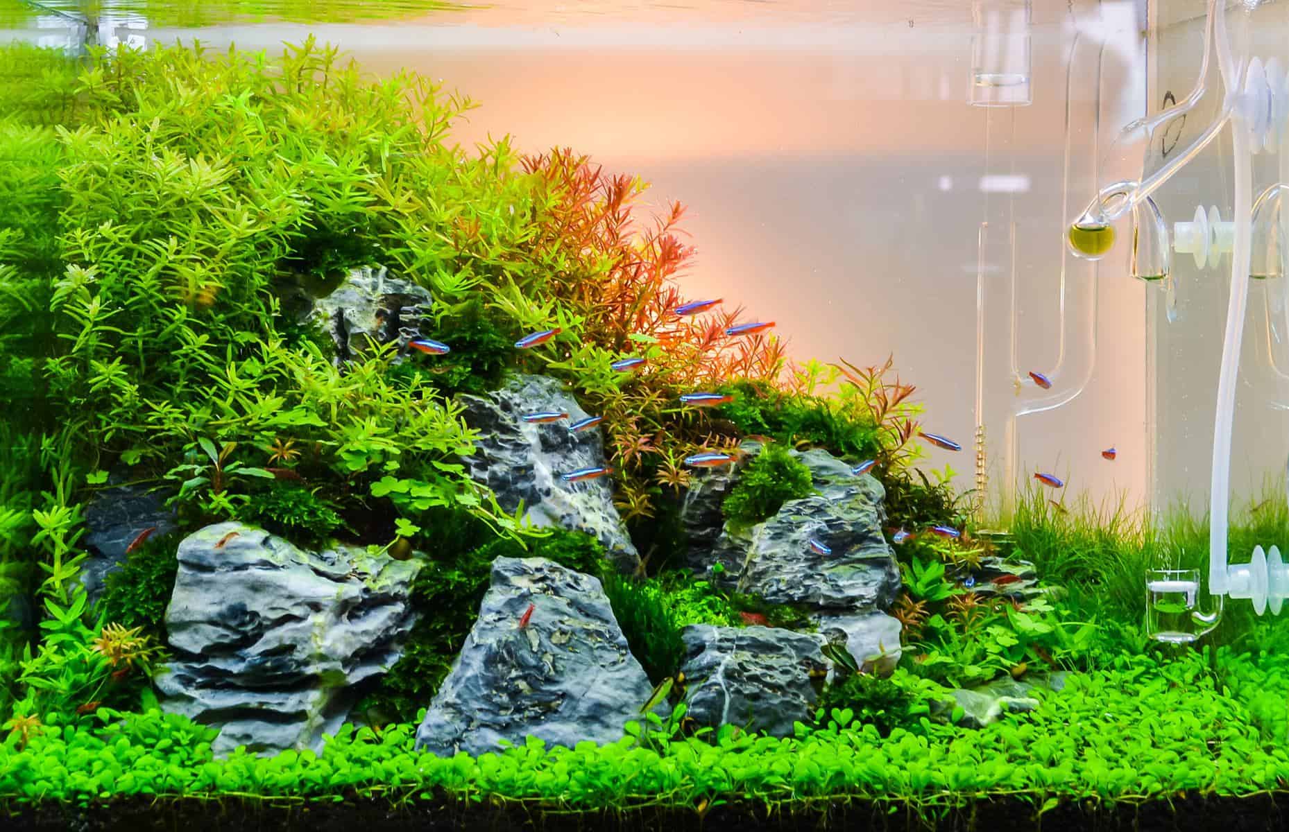 Grass Aquarium Decor Water Weeds Ornament Plant Fish Tank Decor Fresh Best HI