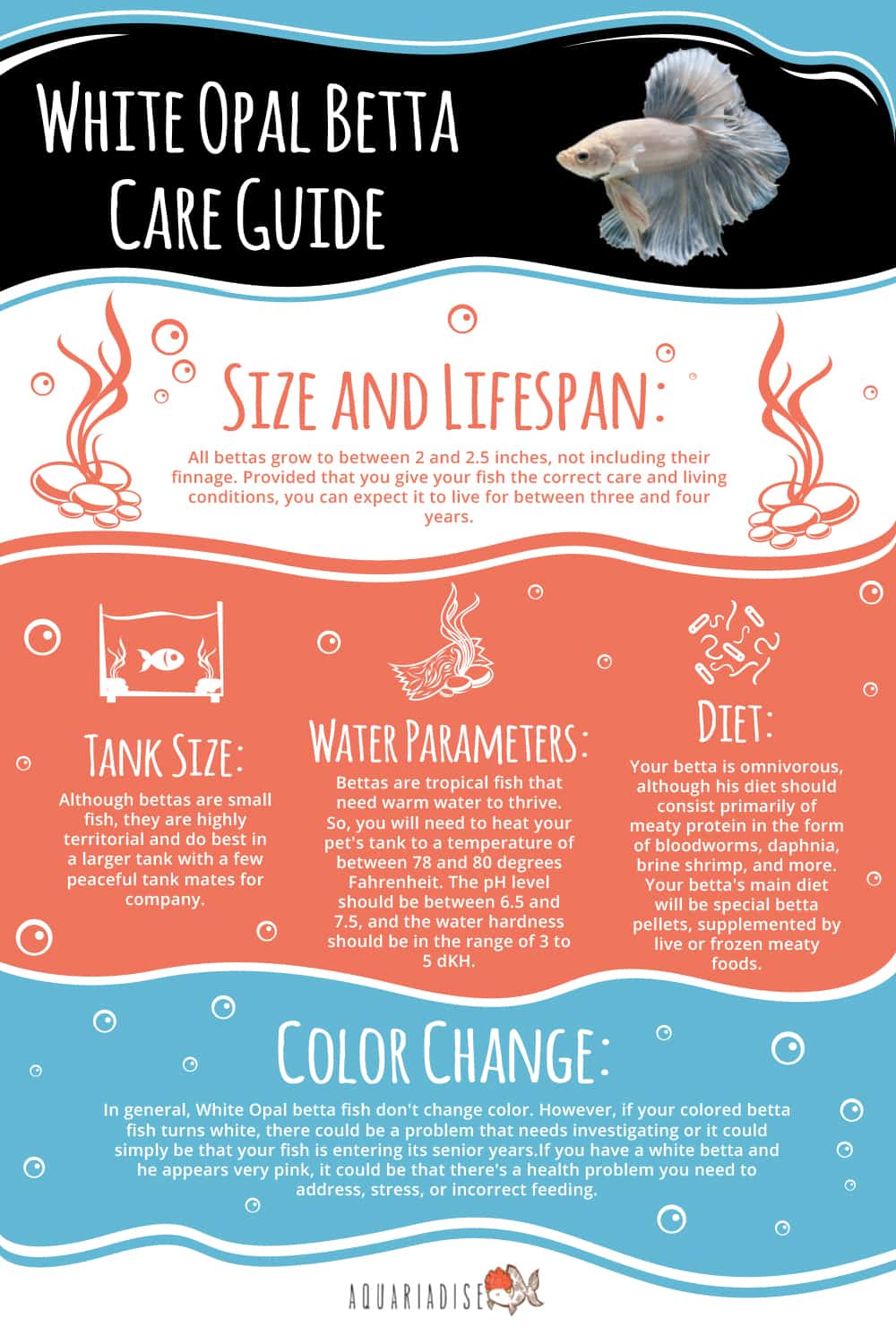 White Opal Care Guide Infographic 