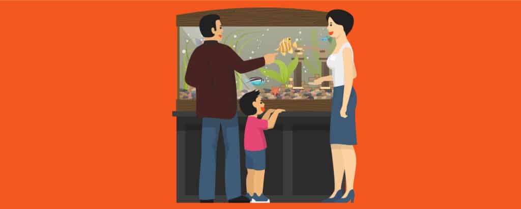 A family admiring their tropical fishes in their aquarium