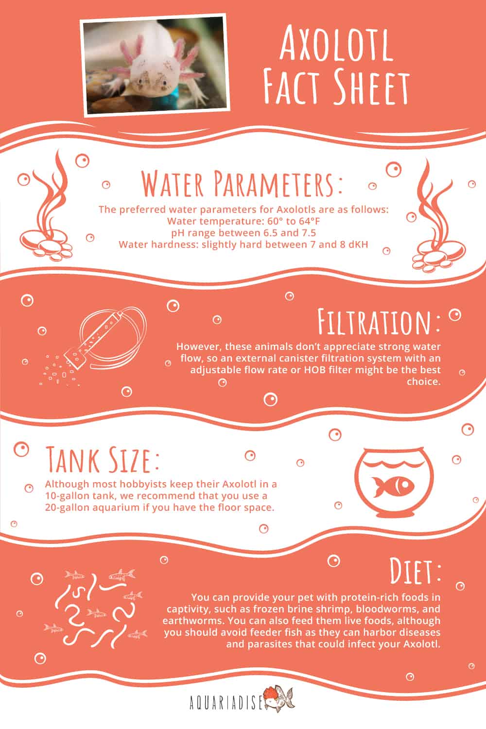 Axolotl Fact Sheet Infographic