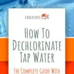 1 How To Dechlorinate Tap Water
