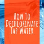 2 How To Dechlorinate Tap Water