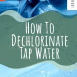 5 Cómo declorar el agua del grifo