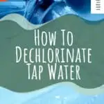 5 How To Dechlorinate Tap Water