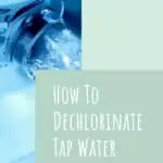 9 How To Dechlorinate Tap Water