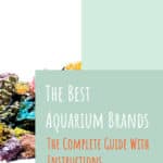 3 The Best Aquarium Brands