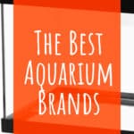 5 The Best Aquarium Brands