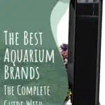 6 The Best Aquarium Brands