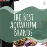 9 The Best Aquarium Brands