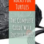 Las 7 mejores rocas de calor para tortugas