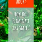 fish tank odor eliminator