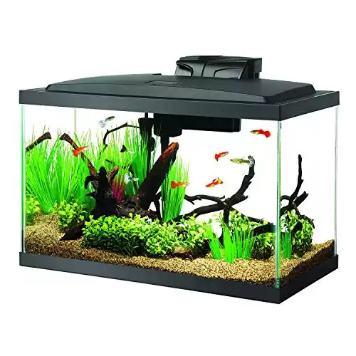 Aqueon Aquarium Fish Tank Starter Kit