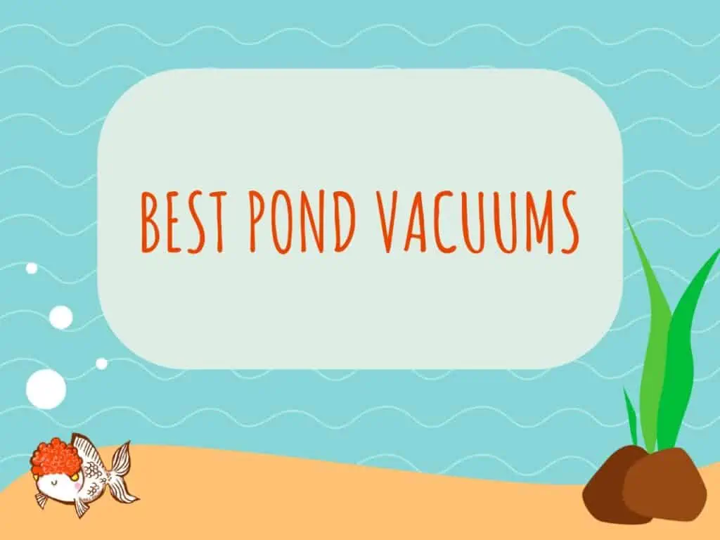 Best Pond Vacuums