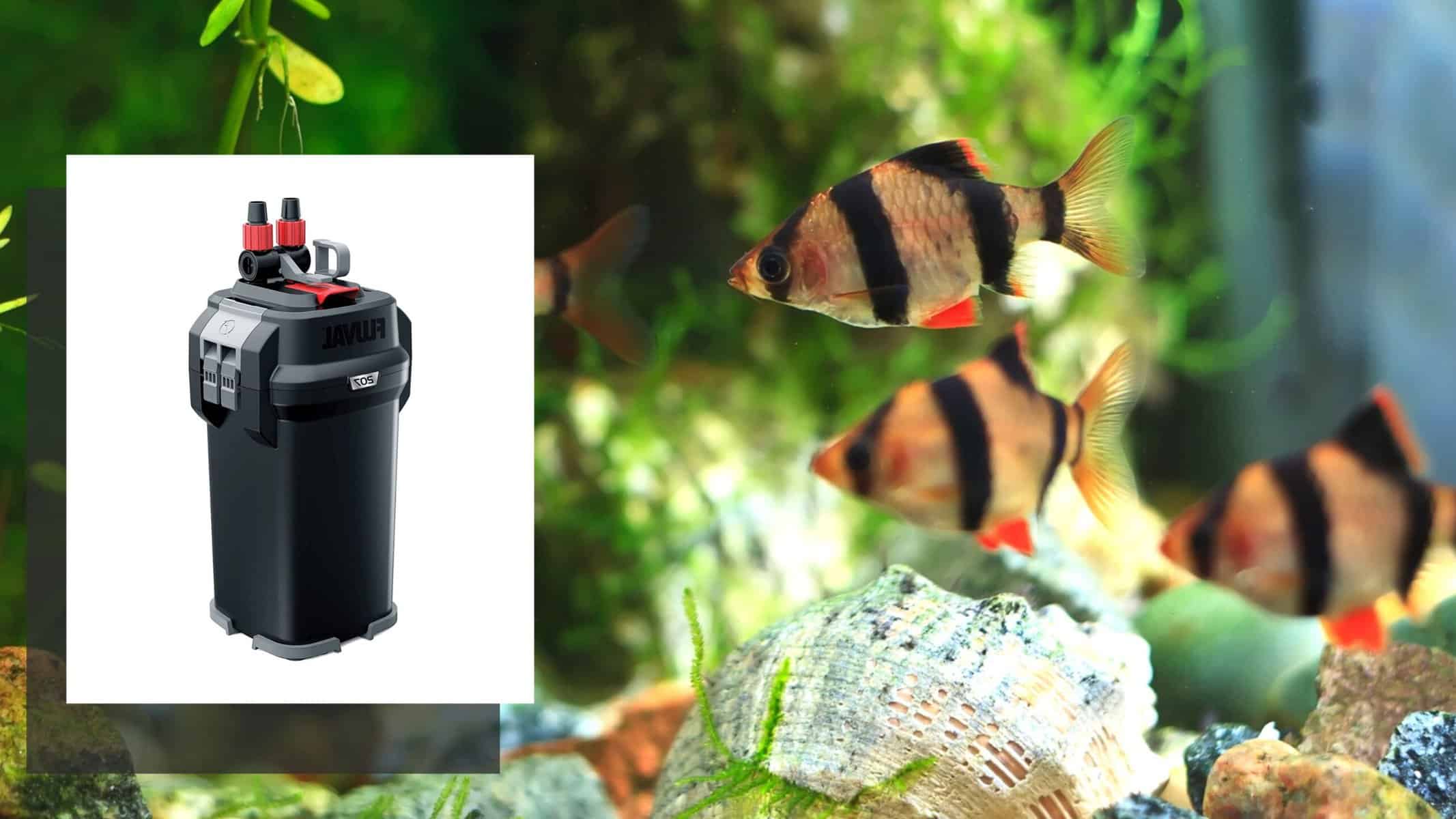 Quietest Fish Tank Filters