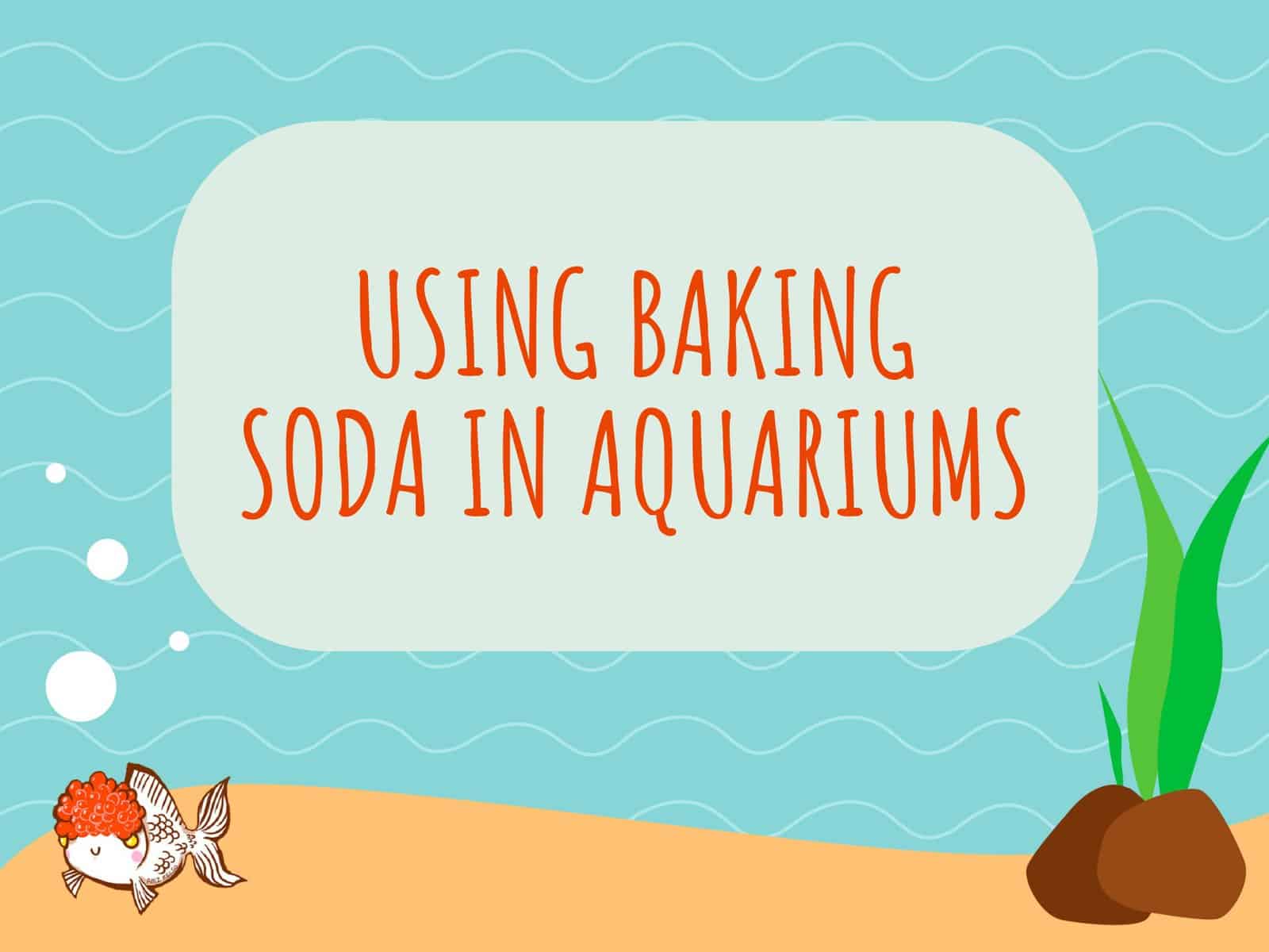 Baking Soda in Aquarium