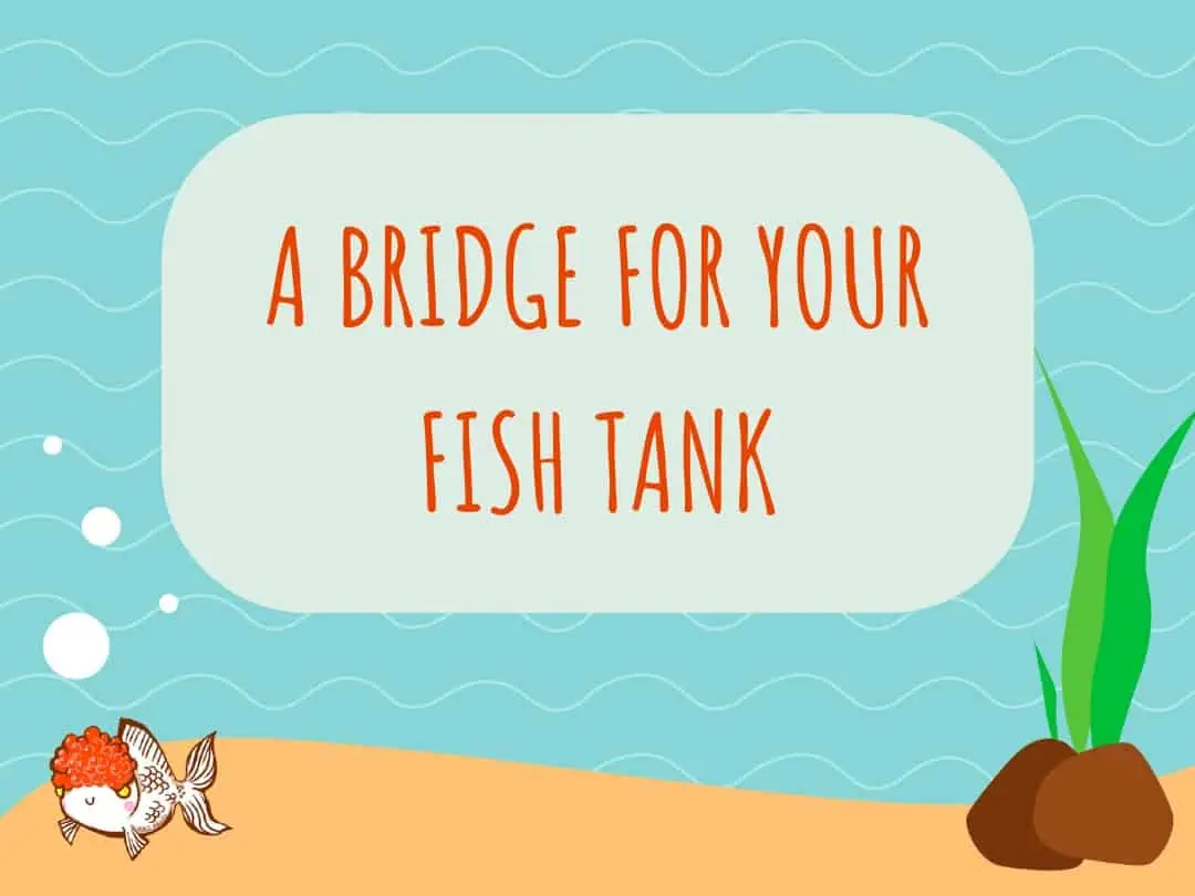 Bridge Fish Tank