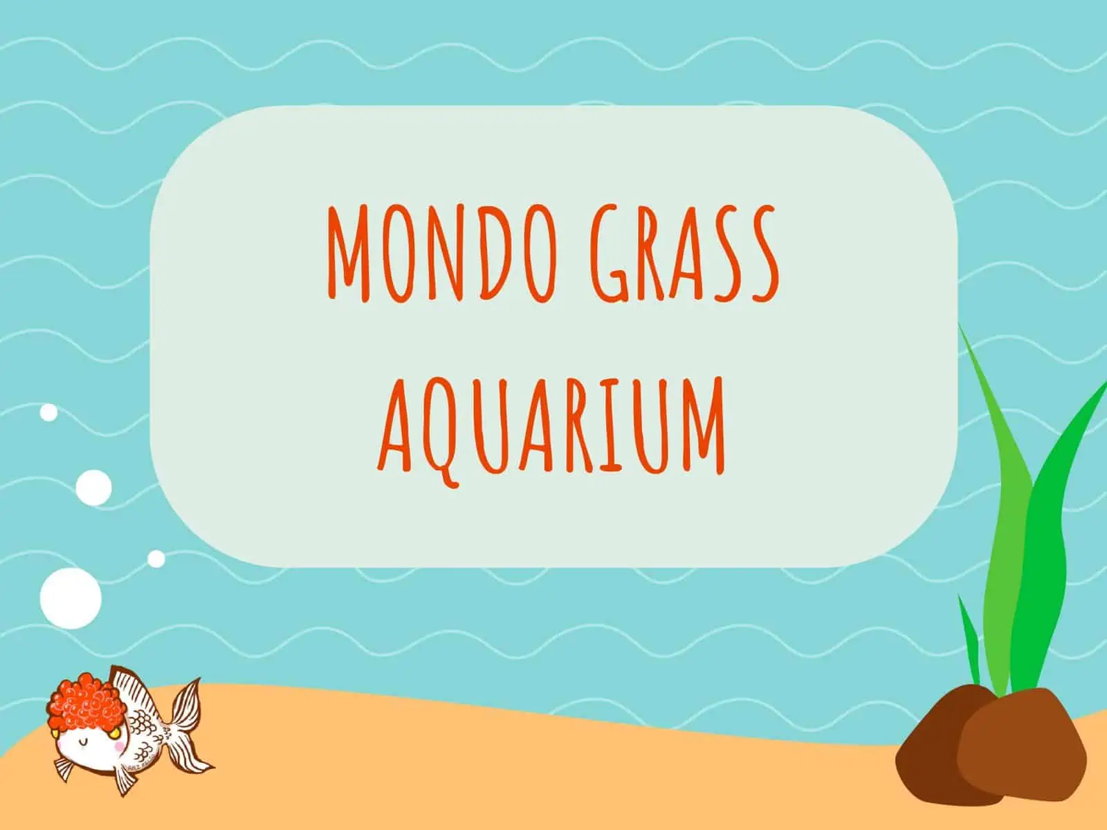 Mondo Grass Aquarium